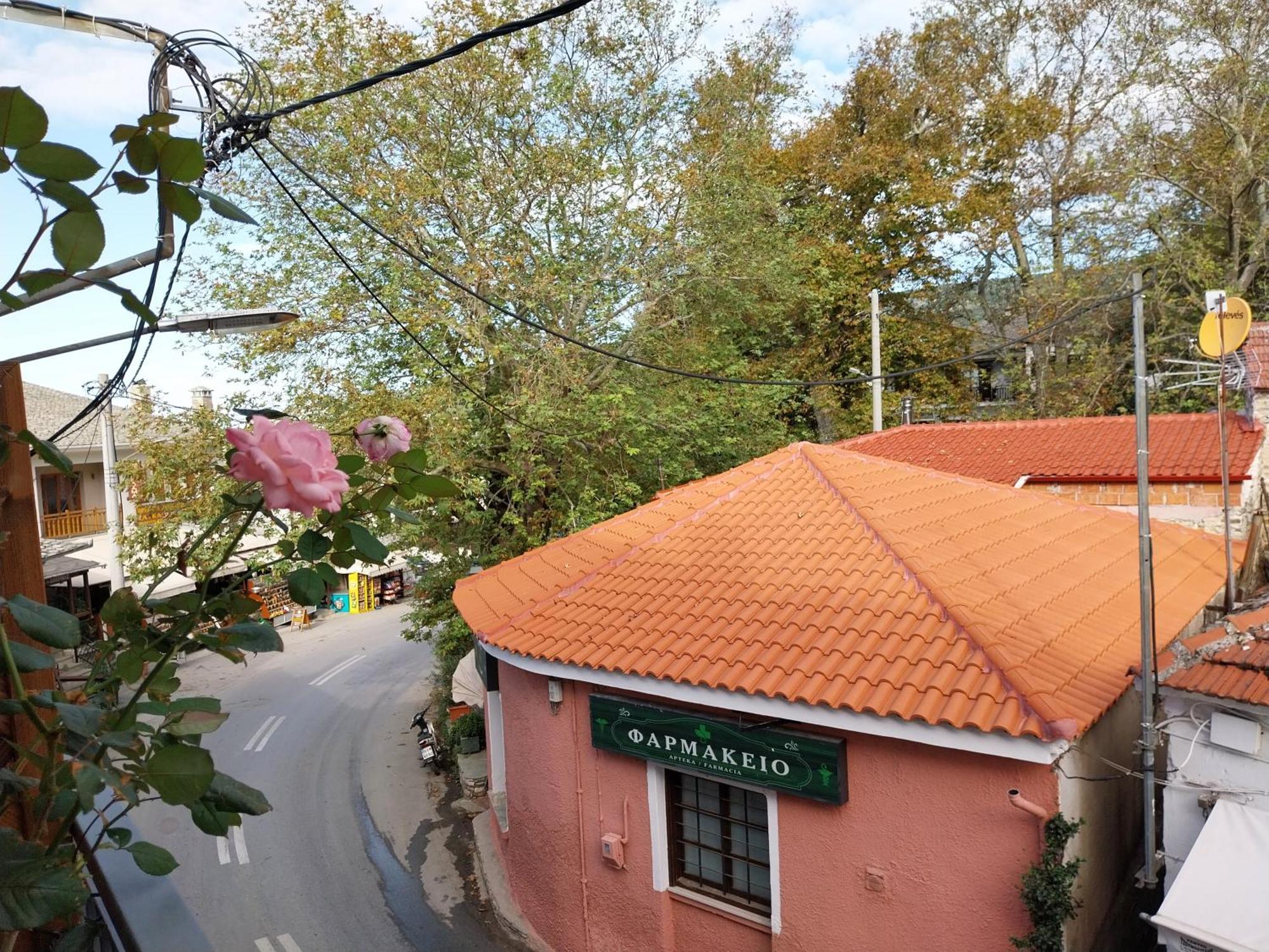 Marousos Central Guesthouse Portariá Exterior foto